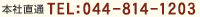 {В TEL:044-814-1203